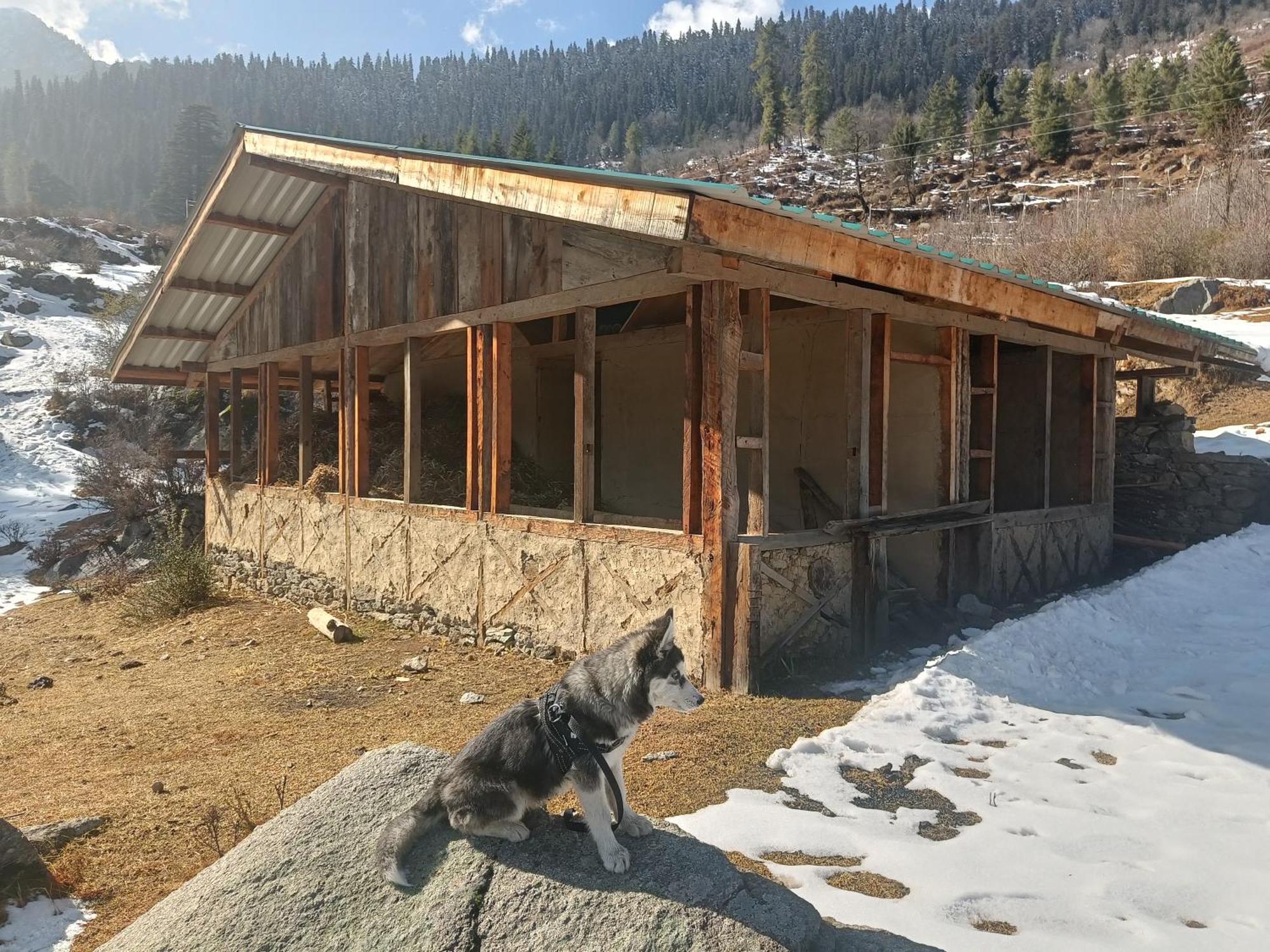 Trimounts-A Boutique Hotel & Wellnes Center In Tirthan Valley Banjār Exteriér fotografie