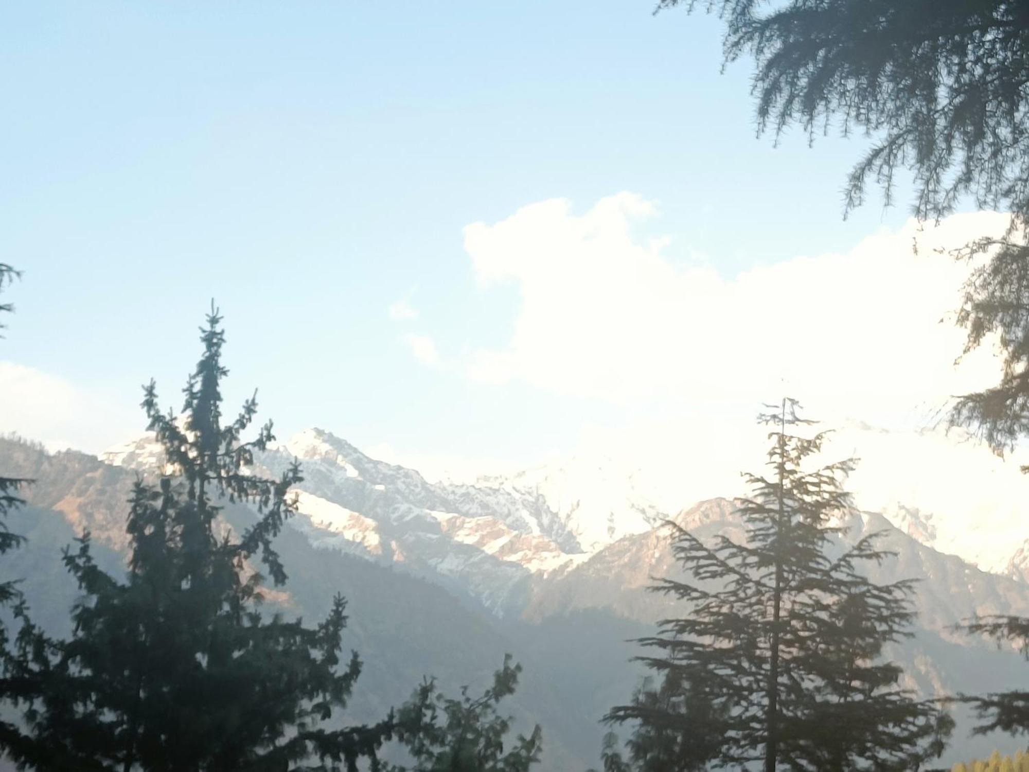 Trimounts-A Boutique Hotel & Wellnes Center In Tirthan Valley Banjār Exteriér fotografie