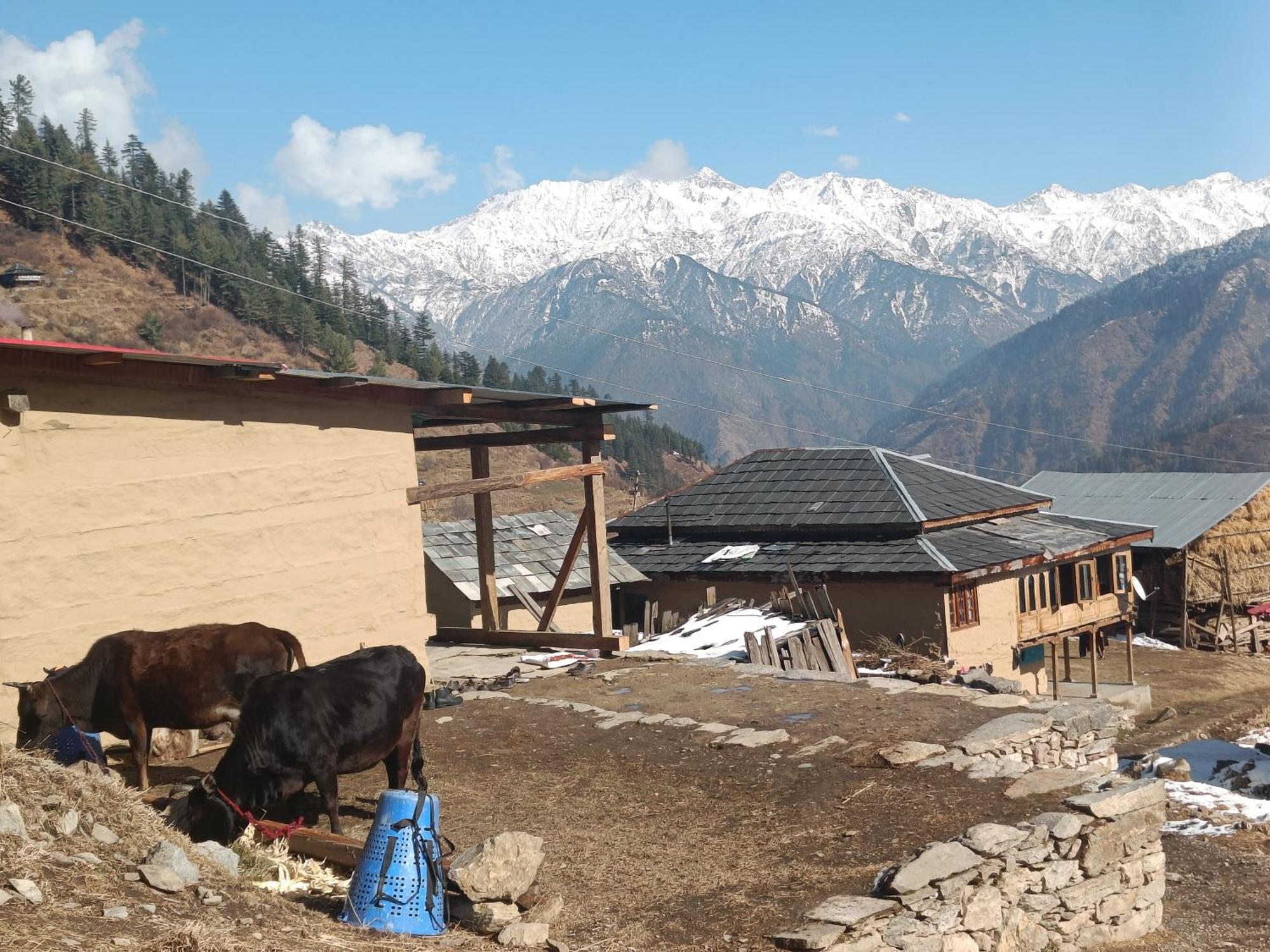 Trimounts-A Boutique Hotel & Wellnes Center In Tirthan Valley Banjār Exteriér fotografie