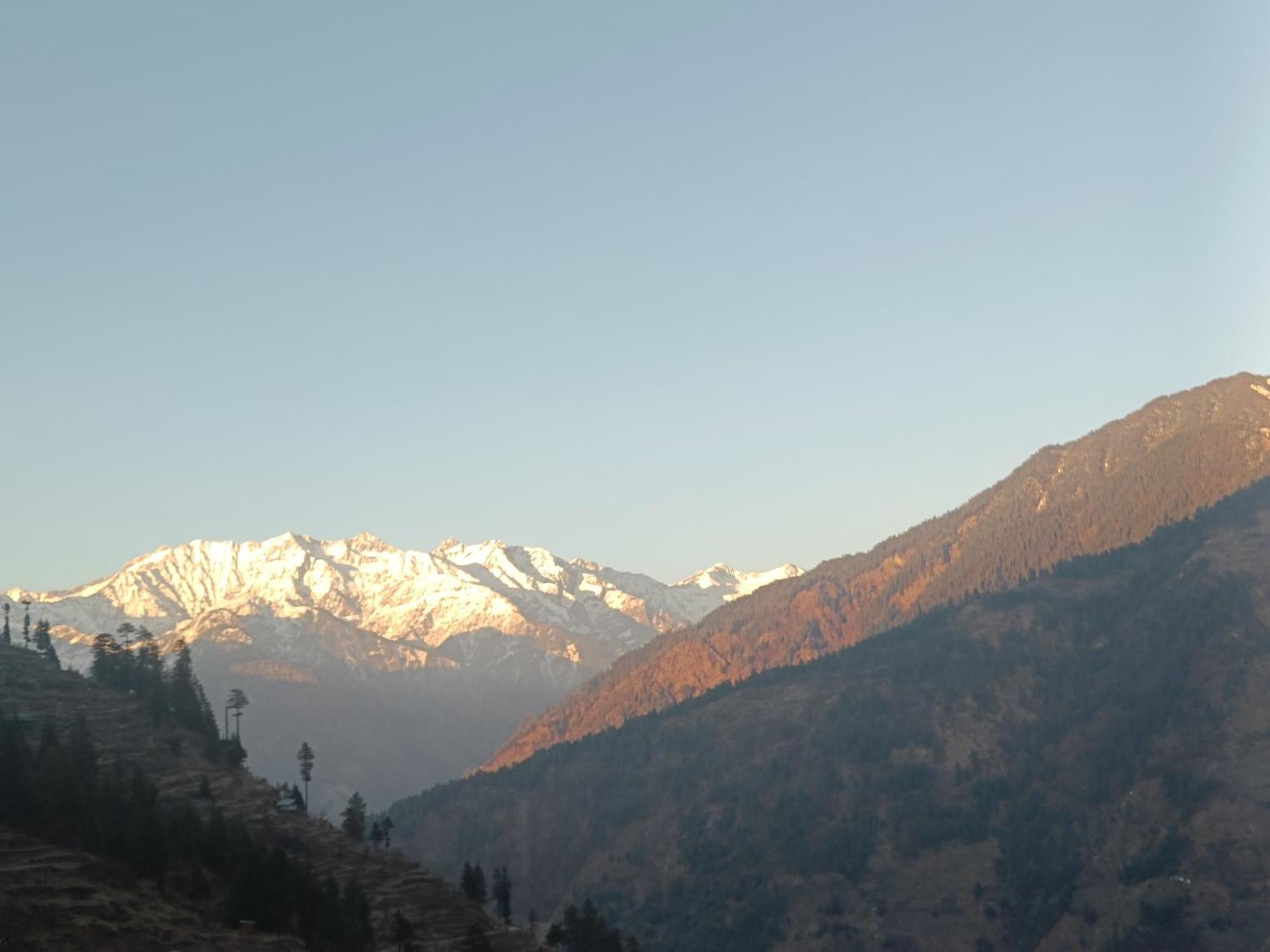 Trimounts-A Boutique Hotel & Wellnes Center In Tirthan Valley Banjār Exteriér fotografie