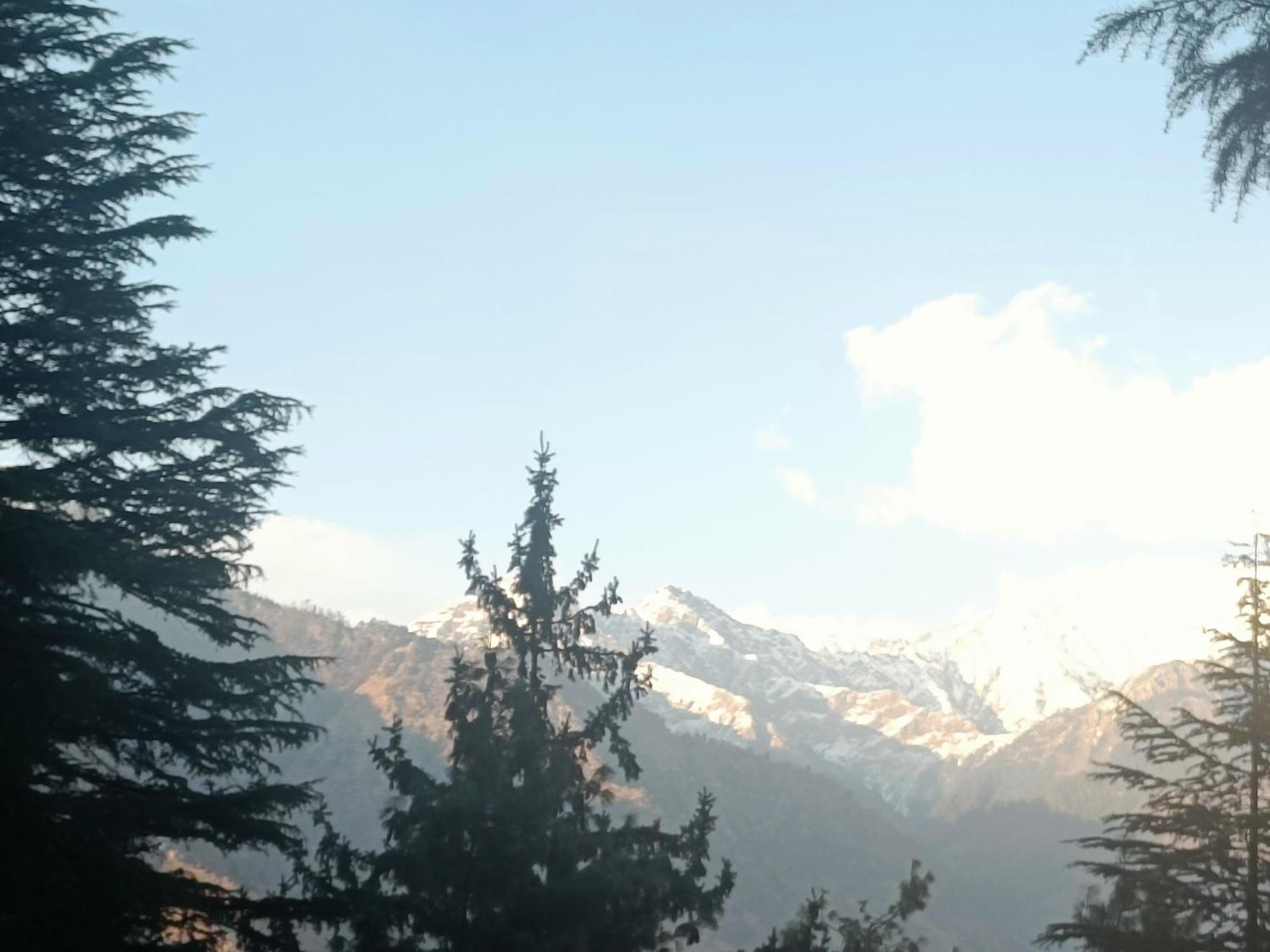 Trimounts-A Boutique Hotel & Wellnes Center In Tirthan Valley Banjār Exteriér fotografie